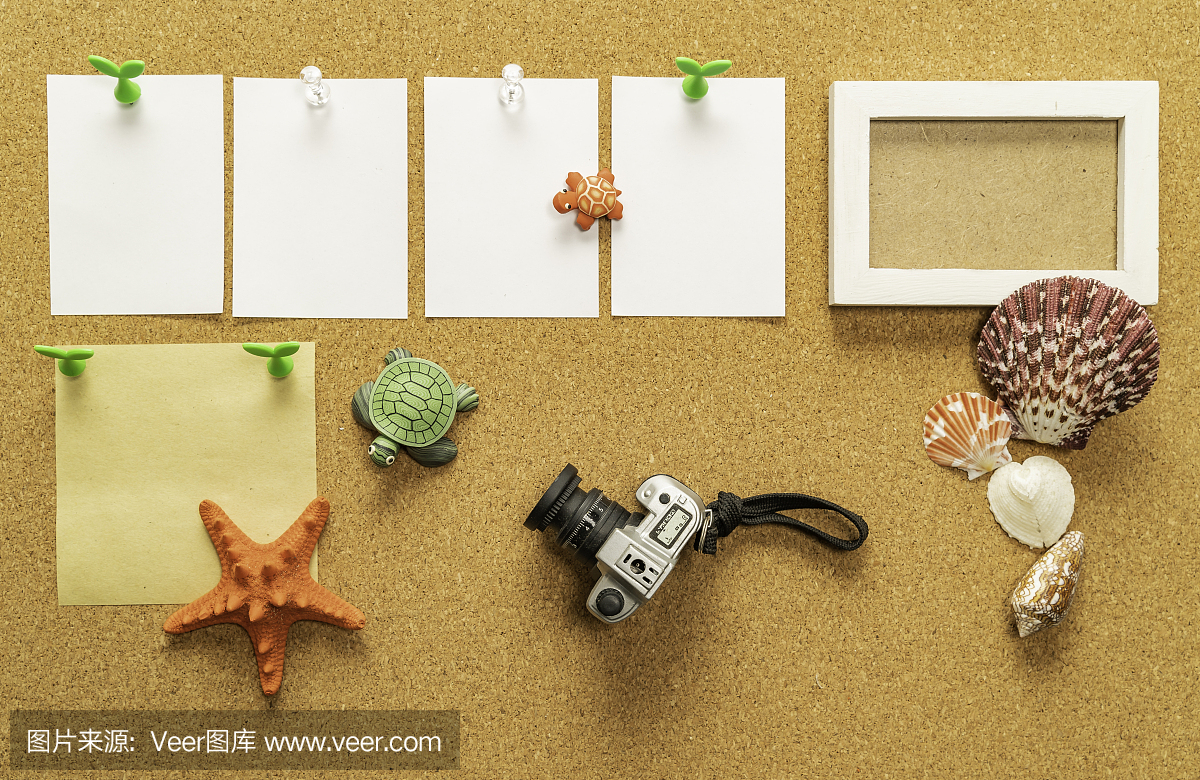 四張空白白紙,一張空白黃紙,配相框、相機、海貝、海星、海龜