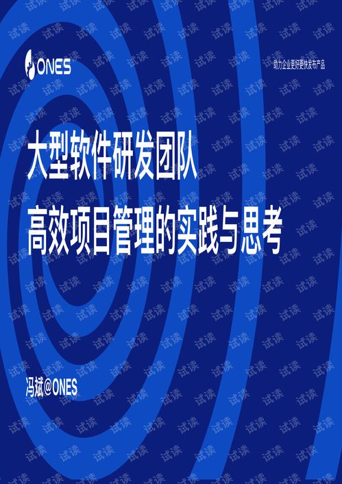 大型軟件研發(fā)團隊高效項目管理的實踐與思考 以教育軟件為例